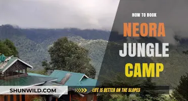 Exploring the Neora Jungle: Your Ultimate Guide to Booking the Perfect Camp