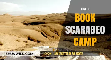 Book Scarabeo Camp: A Step-by-Step Guide to Desert Adventure