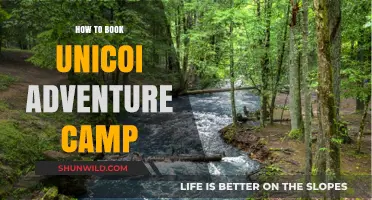 Unicoi Adventure Camp: Your Ultimate Guide to Booking the Perfect Getaway