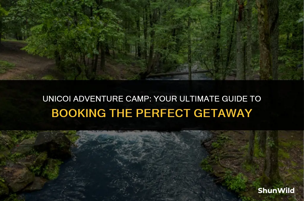 how to book unicoi adventure camp
