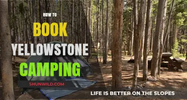 Ultimate Guide to Booking Your Yellowstone Camping Adventure