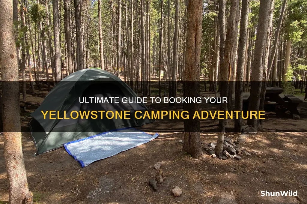 how to book yellowstone camping