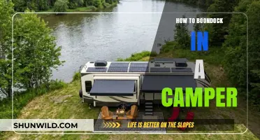 Exploring the Great Outdoors: A Beginner's Guide to Boondocking in a Camper