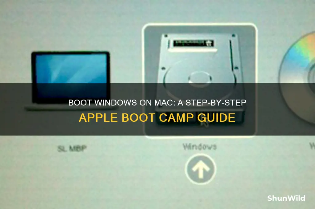 how to boot windows from apple boot camp