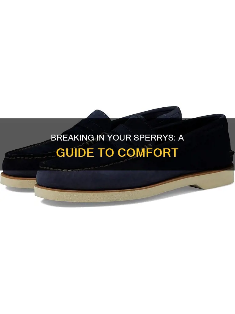 how to break in sperry canvas boat shoes