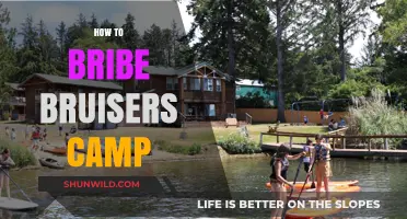 Mastering the Art of Bribing Bruisers Camp: Tips and Tricks