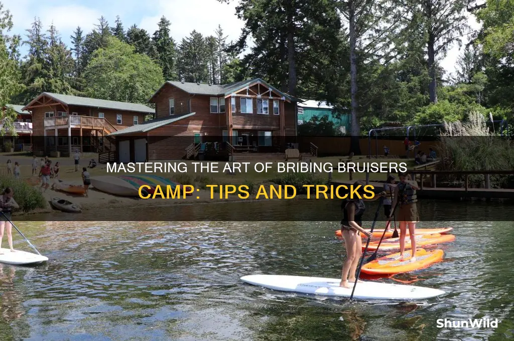 how to bribe bruisers camp