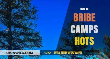 Mastering Camp Bribes in Heroes of the Storm: Strategies and Tips