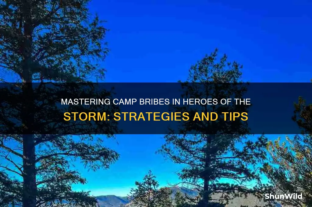 how to bribe camps hots