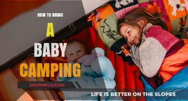 Tiny Adventurer: Your Guide to Camping with a Baby