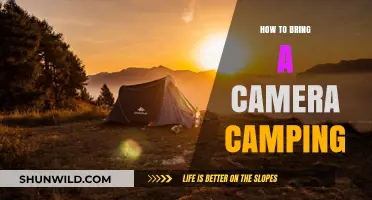 Capturing Wilderness: A Guide to Camping Photography Essentials