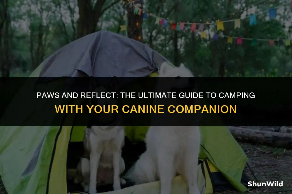 how to bring a dog camping