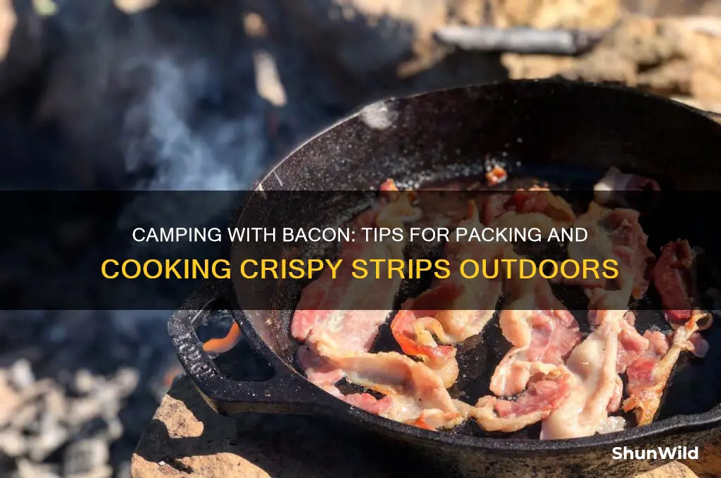 how to bring bacon camping
