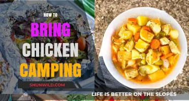 Camping with Chicken: Tips for Safe and Delicious Outdoor Meals