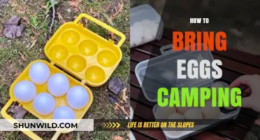 Camping with Eggs: Smart Packing Tips for Fresh Breakfasts Outdoors