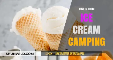 Sweet Treats in the Wild: A Guide to Camping with Ice Cream