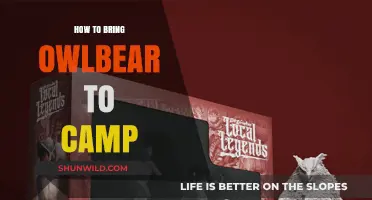 Wilderness Whispers: Owlbear Encounters at Camp