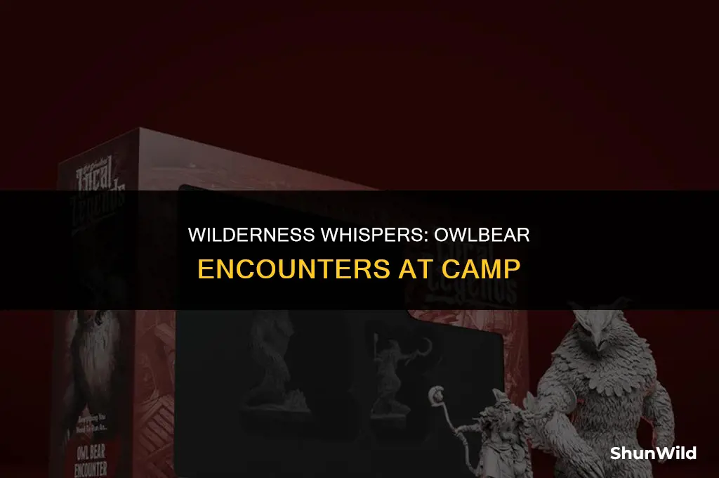 how to bring owlbear to camp