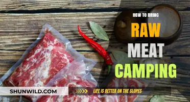 Savor the Wild: A Guide to Safely Transporting Raw Meat While Camping