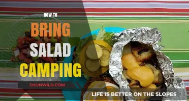 Camping with Crunch: Tips for Packing and Preserving Salads Outdoors