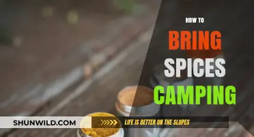 Pack Light, Flavor Right: Smart Tips for Camping with Spices