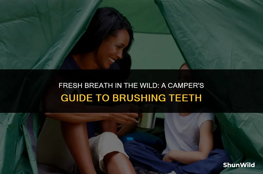 how to brush teeth when camping