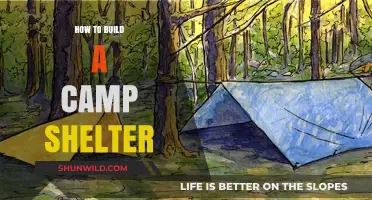 Crafting Wilderness Homes: A Guide to Building Camp Shelters