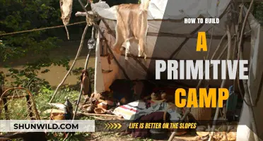 Crafting Wilderness Shelters: A Beginner's Guide to Primitive Camping