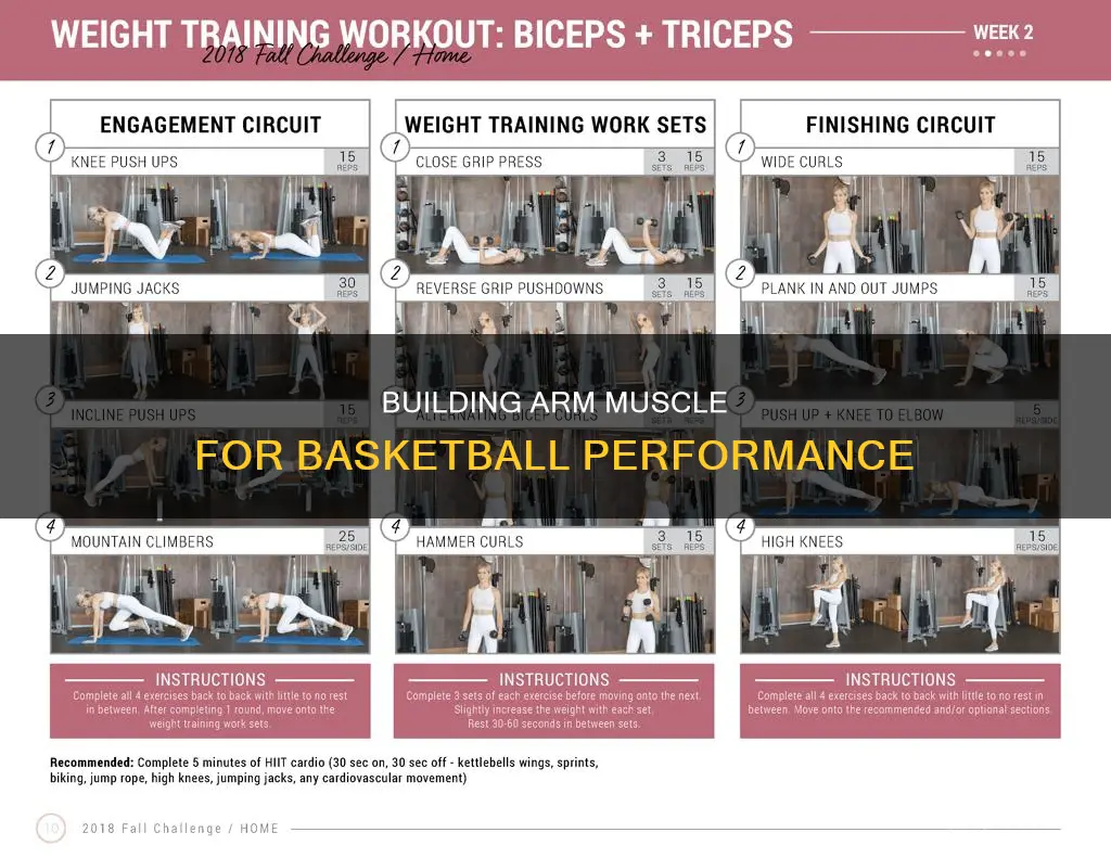 how to build arm muscle for basketball
