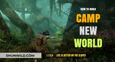 Crafting Camp New World: A Beginner's Guide to Survival and Exploration