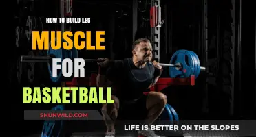 Build Powerful Legs for Basketball Performance