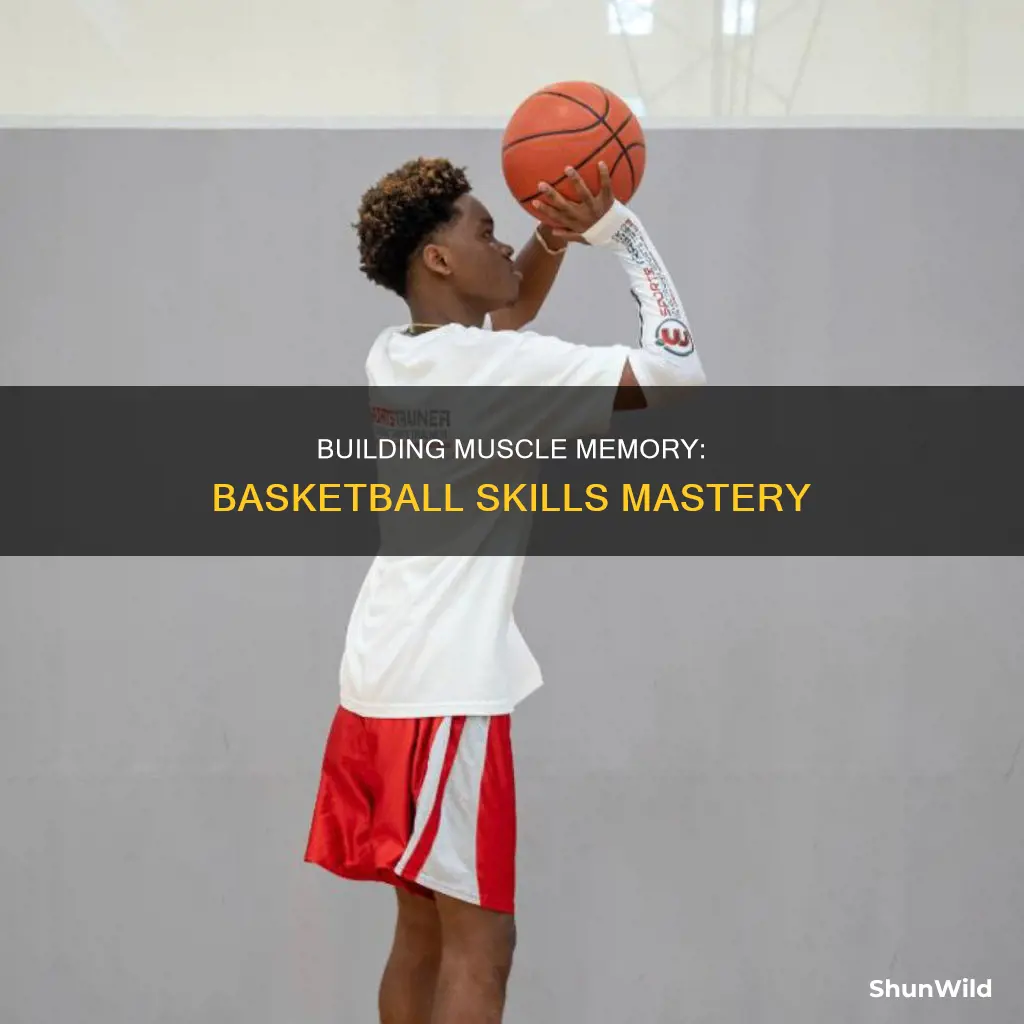 how to build muscle memory for basketball