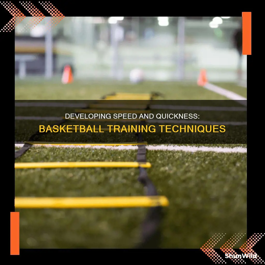 how to build speed and quickness in basketball