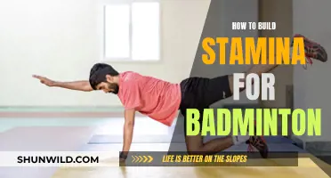 Building Stamina for Badminton: Strategies for Success