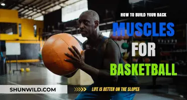 Back Muscle Building for Basketball Players