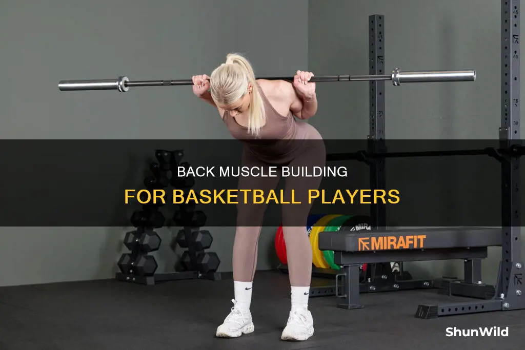 how to build your back muscles for basketball