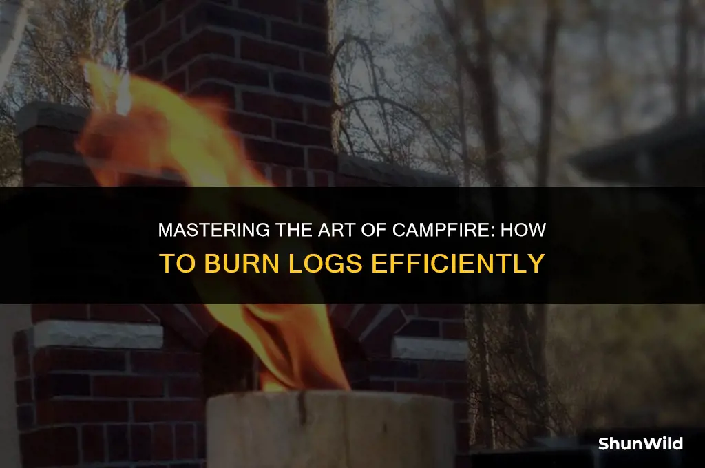 how to burn logs during camping