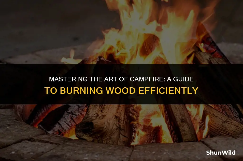 how to burn wood in camping