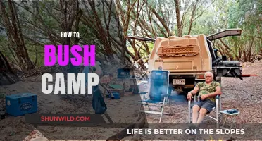Mastering the Art of Bush Camping: Essential Tips for Outdoor Adventures