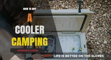 Essential Guide to Choosing the Perfect Cooler for Your Camping Adventures