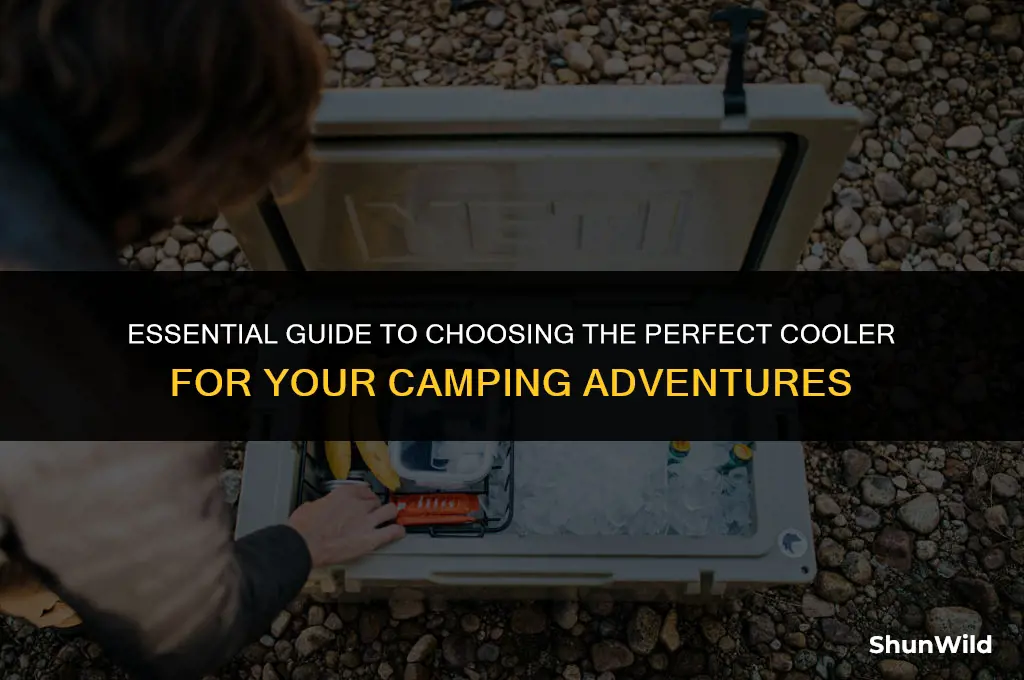 how to buy a cooler camping
