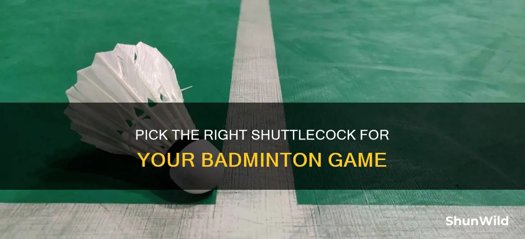 how to buy badminton shuttlecock