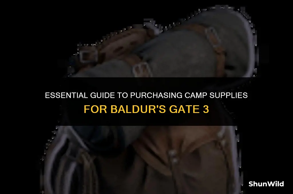 how to buy camp supplies bg3