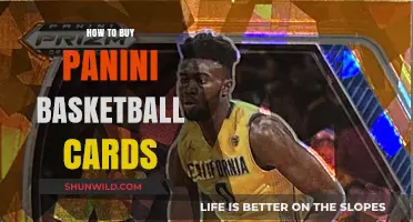 Guide to Buying Panini Basketball Cards