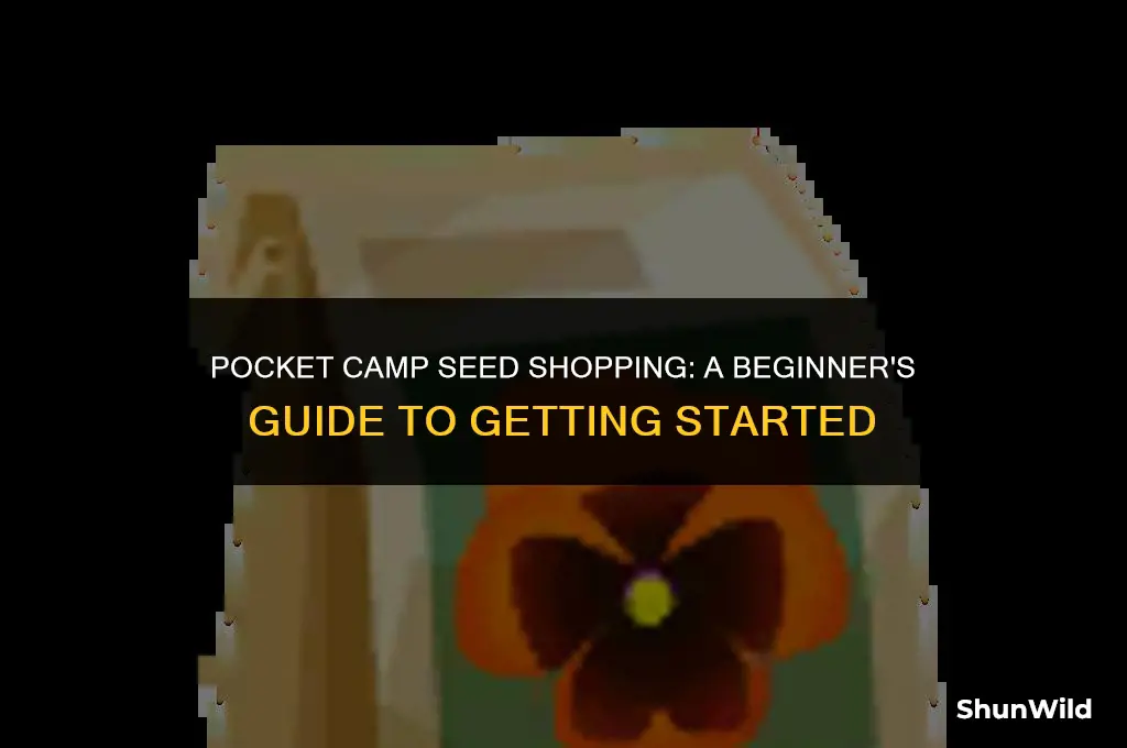 how to buy seeds pocket camp