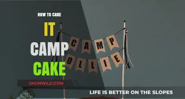 Sweet Success: Mastering the Art of Camp Cake Creations