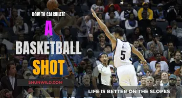 Mastering the Shot: A Guide to Basketball Shot Calculation