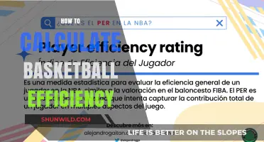 Understanding Basketball Efficiency: Calculating Player Performance