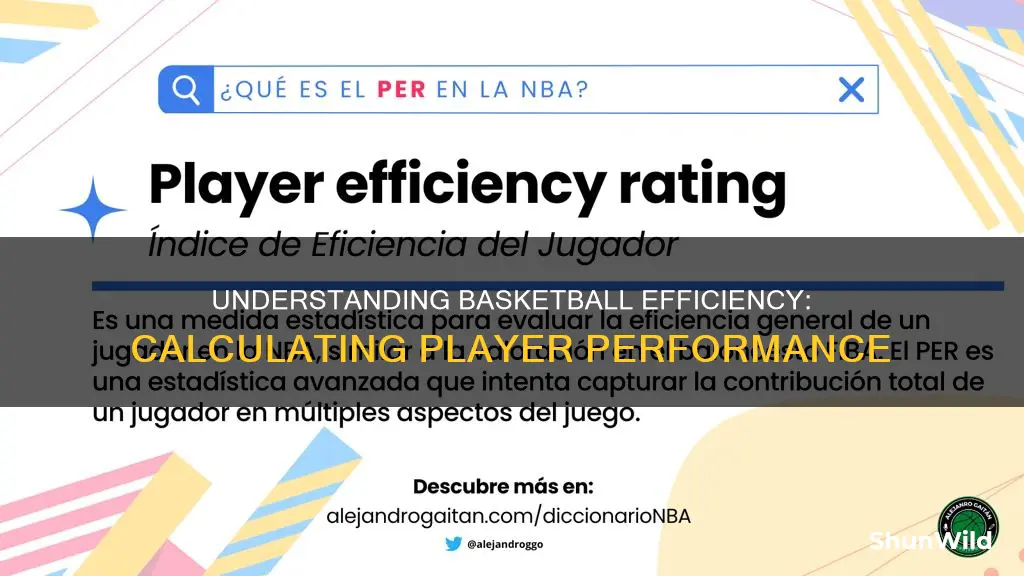 how to calculate basketball efficiency
