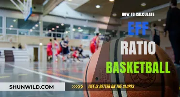 Efficiency Ratio: Basketball's Secret Weapon